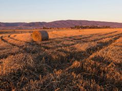 CroAGRO – Sajam kakav poljoprivreda zaslužuje