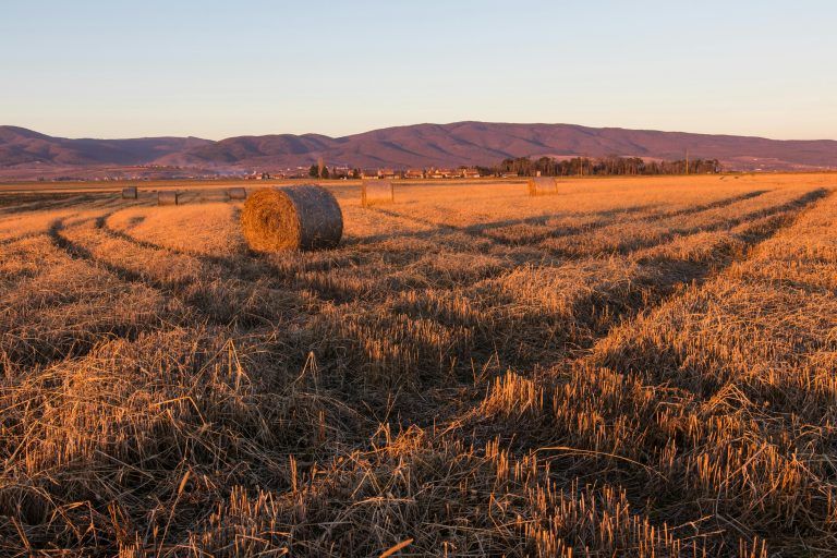 CroAGRO – Sajam kakav poljoprivreda zaslužuje