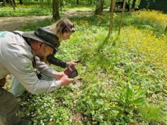 Zagrepčani u City Nature Challengeu igraju za boje svojega grada