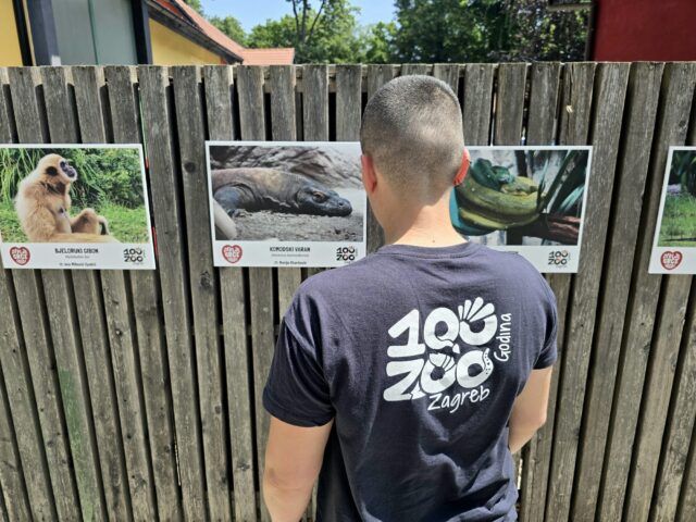 Izložba Divljina u srcu i oku