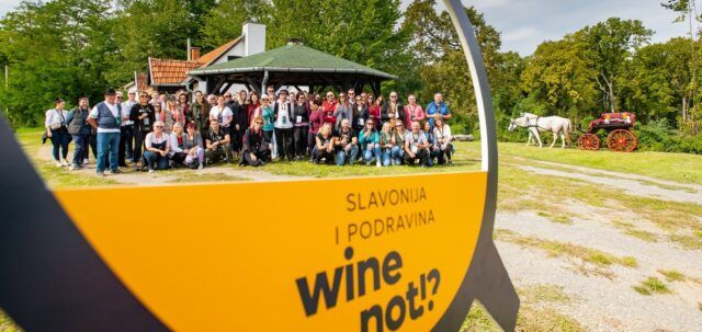 Arhiva_WINE & RUN Orahovica - Foto_Matija Turkalj_02