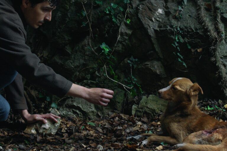 Nagrađivani hibridni dokumentarno-igrani film Vjetre, pričaj sa mnom premijerno 12. studenoga na Zagreb Film Festivalu!