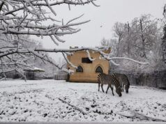 Ma tko spava zimi?! u Zoološkom vrtu