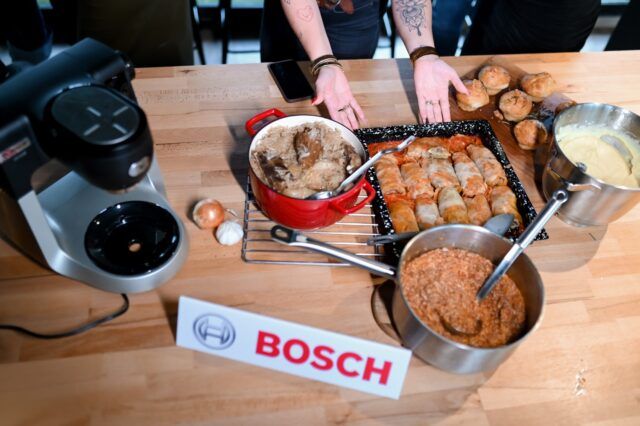 Copy of Bosch_RG (142)
