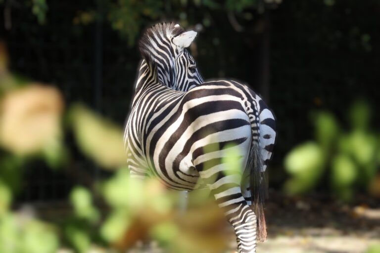 U Zoološkom vrtu školarce tijekom uskrsnih praznika očekuje Zoo avantura
