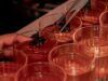 Negroni Week ponovno okuplja barsku scenu