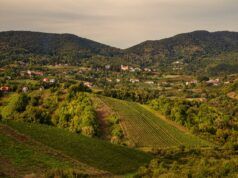 Rujan u Zagrebačkoj županiji: Dani vina u Jastrebarskom, CRO Race kroz Samobor i Zelinu, tri koncerta Moslavina Festa