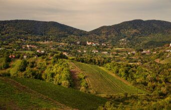 Rujan u Zagrebačkoj županiji: Dani vina u Jastrebarskom, CRO Race kroz Samobor i Zelinu, tri koncerta Moslavina Festa
